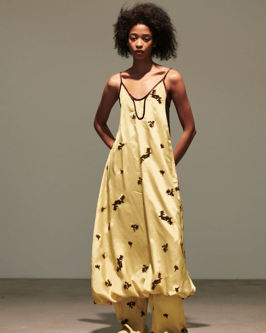 Fall / Winter 2023 Collection